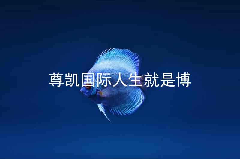 尊凯国际人生就是博