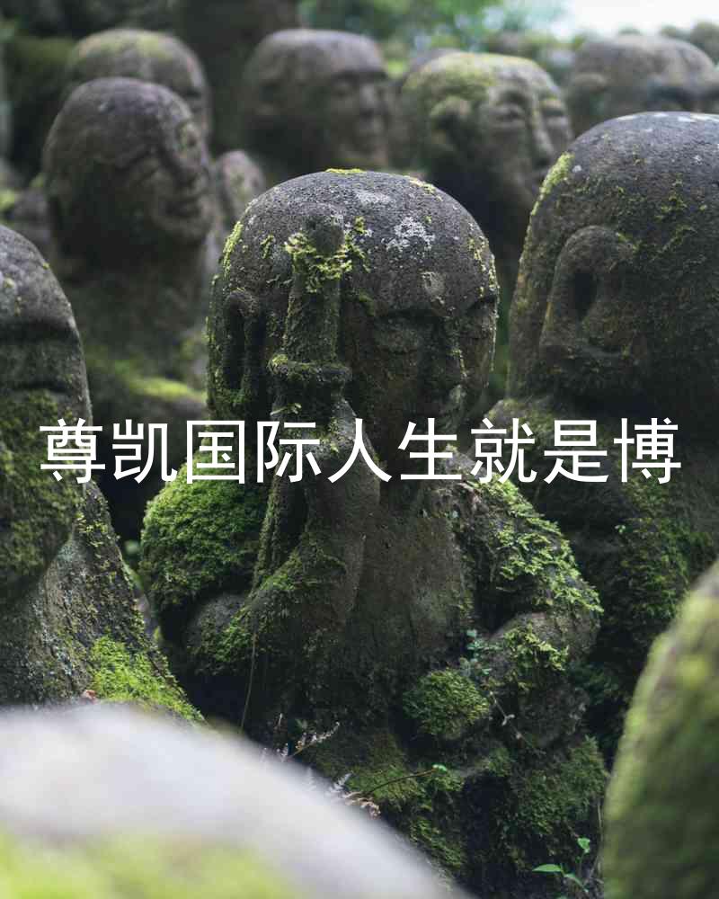 尊凯国际人生就是博