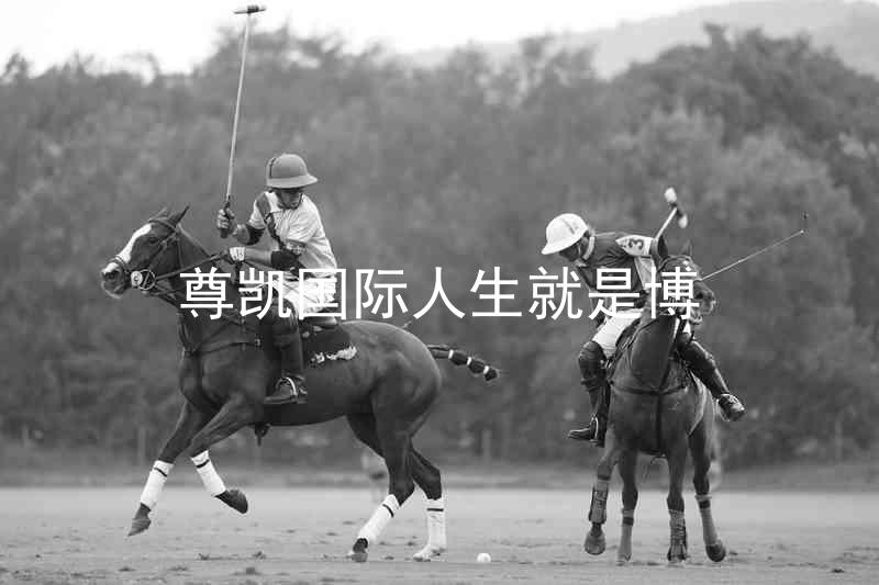 尊凯国际人生就是博